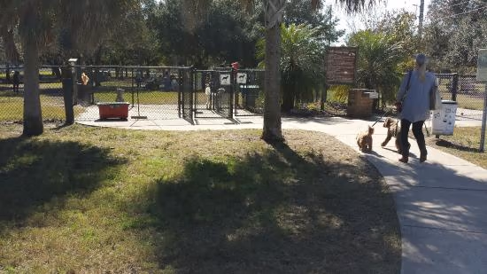 Dog Park at Walsingham Park photo 2
